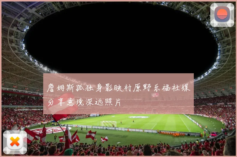詹姆斯孤独身影映衬原野乐福社媒分享意境深远照片